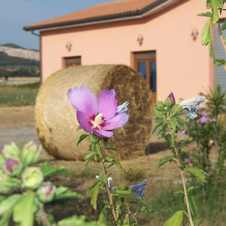ונטורינה טרמה Agriturismo La Nocciolina מראה חיצוני תמונה