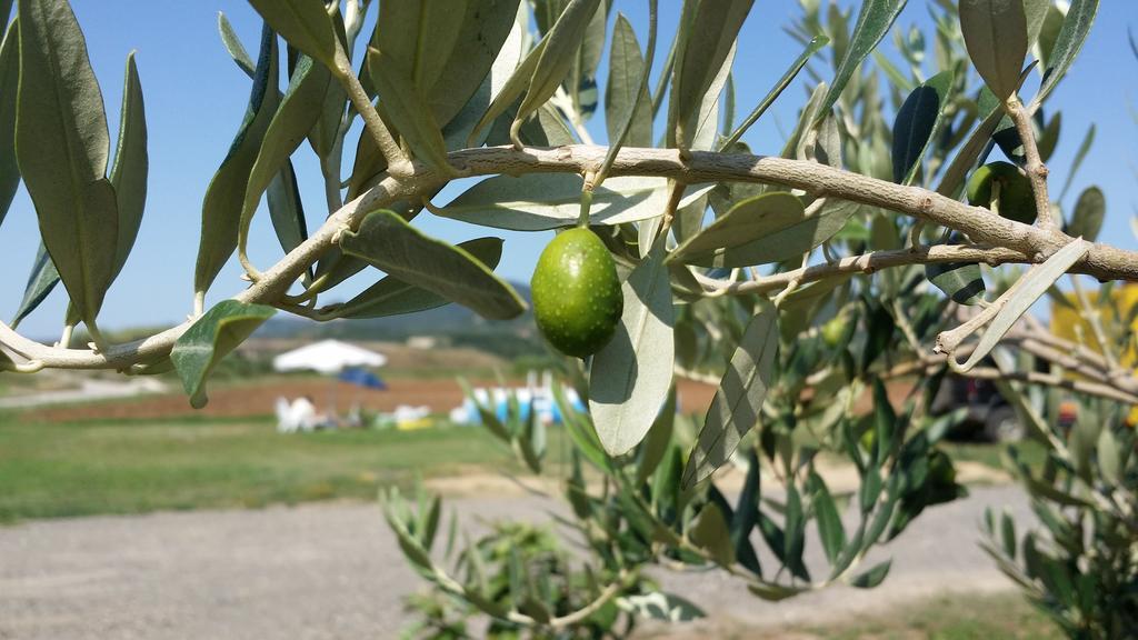 ונטורינה טרמה Agriturismo La Nocciolina מראה חיצוני תמונה