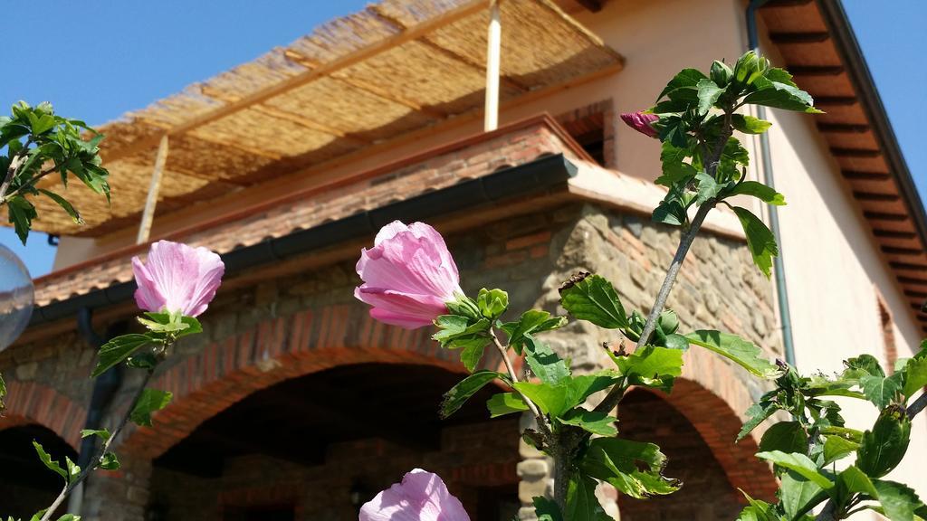 ונטורינה טרמה Agriturismo La Nocciolina מראה חיצוני תמונה
