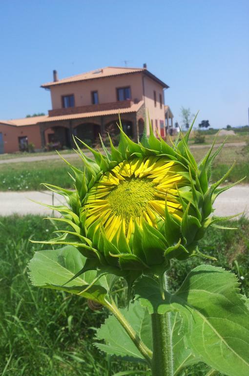 ונטורינה טרמה Agriturismo La Nocciolina מראה חיצוני תמונה
