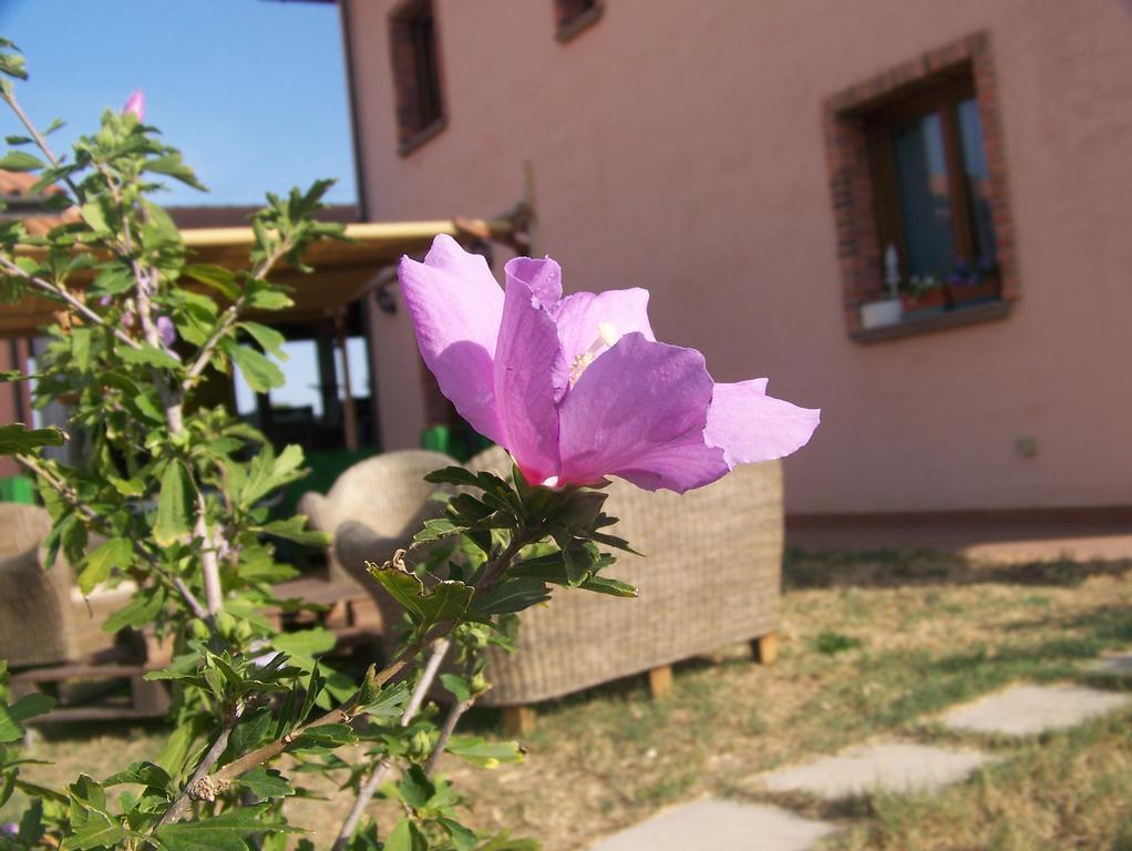 ונטורינה טרמה Agriturismo La Nocciolina מראה חיצוני תמונה
