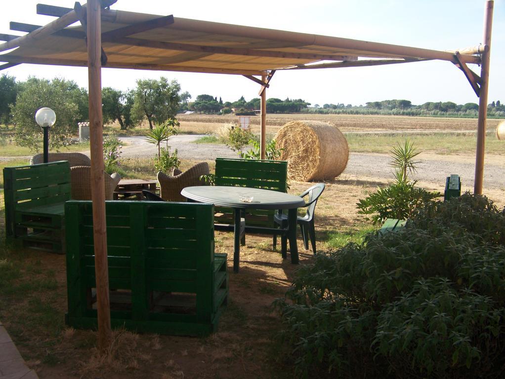 ונטורינה טרמה Agriturismo La Nocciolina מראה חיצוני תמונה